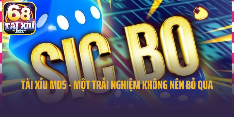 Tài xỉu MD5 - Một trải nghiệm không nên bỏ qua