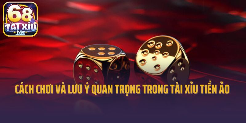 Tìm hiểu về cách chơi và lưu ý quan trọng trong tài xỉu tiền ảo 